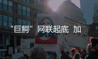 “巨鳄”网联起底  加入网联核心圈子的发起人共计有45家
