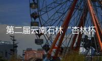 第二届云南石林“杏林杯”少儿围棋公开赛竞赛规程 石林