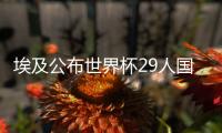 埃及公布世界杯29人国家队大名单:萨拉赫领衔英超5人