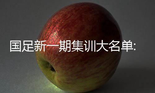 国足新一期集训大名单:郑智回归黄紫昌首次入围