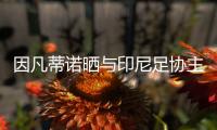 因凡蒂诺晒与印尼足协主席托希尔合照