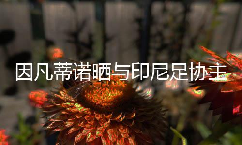 因凡蒂诺晒与印尼足协主席托希尔合照