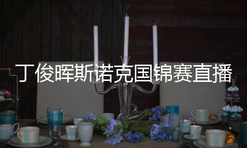 丁俊晖斯诺克国锦赛直播最新比赛视频vs肖国栋直播录像