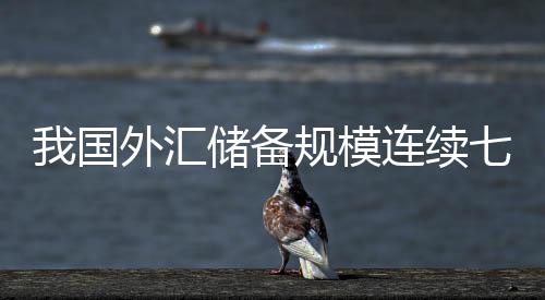 我国外汇储备规模连续七个月回升 规模为30915亿美元