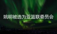 姚明被选为亚篮联委员会主席 职位仅次于亚篮联总裁