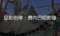 足彩伤停：费内巴切前锋杜兰停赛 费耶诺德失9人