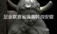 足金联赛省级赛转战安徽芜湖 华创终场绝杀再夺冠