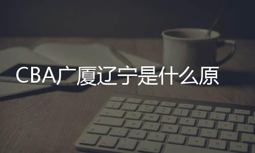 CBA广厦辽宁是什么原因引发球迷冲突 历史恩怨再度升级