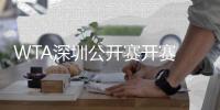 WTA深圳公开赛开赛 中国女子网球队3将进次轮