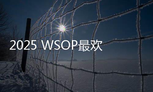 2025 WSOP最欢乐赛事!双人赛变装秀火了,公主、蔬菜、姐妹花全登场!