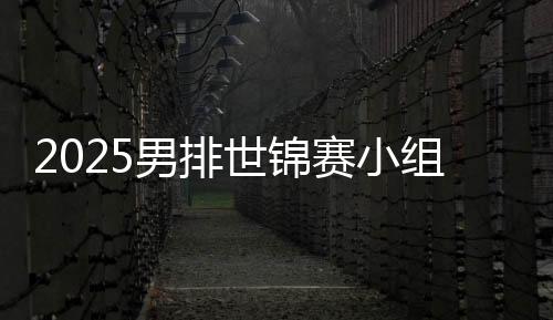 2025男排世锦赛小组赛赛程出炉 中国男排首战巴西